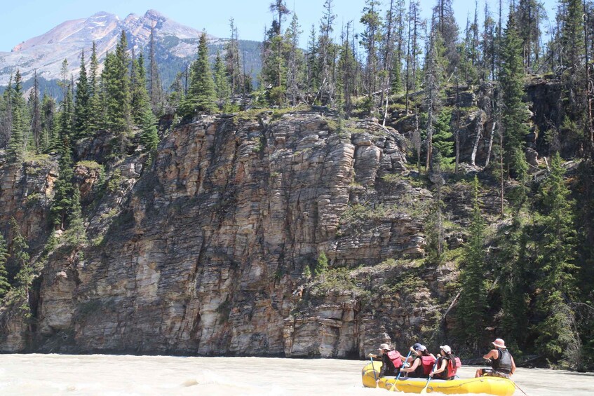 Picture 8 for Activity Athabasca Falls: Class 2 White Water Rafting Adventure