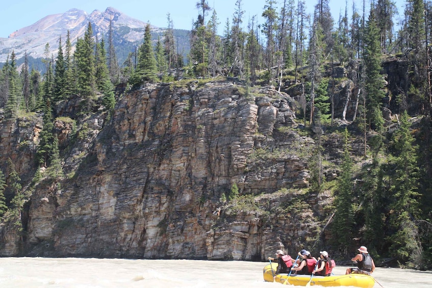 Picture 8 for Activity Athabasca Falls: Class 2 White Water Rafting Adventure