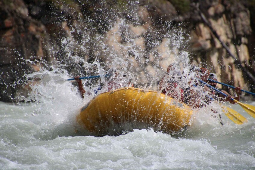 Picture 5 for Activity Athabasca Falls: Class 2 White Water Rafting Adventure