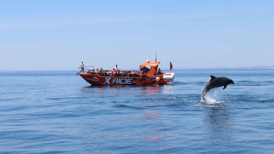 Albufeira: Dolphin Watching and Benagil Cave