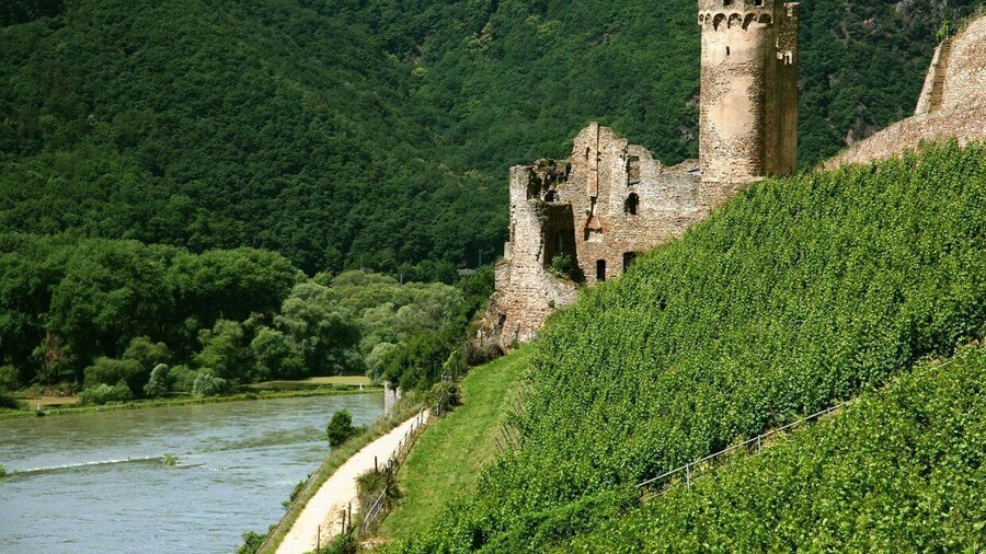From Rüdesheim: 1.5-Hour Boat Cruise with Wine Tasting