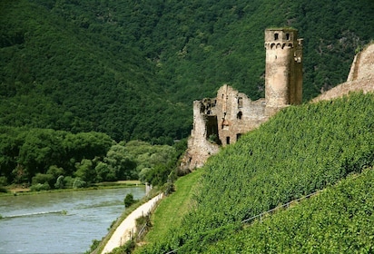 From Rüdesheim: 1.5-Hour Boat Cruise with Wine Tasting