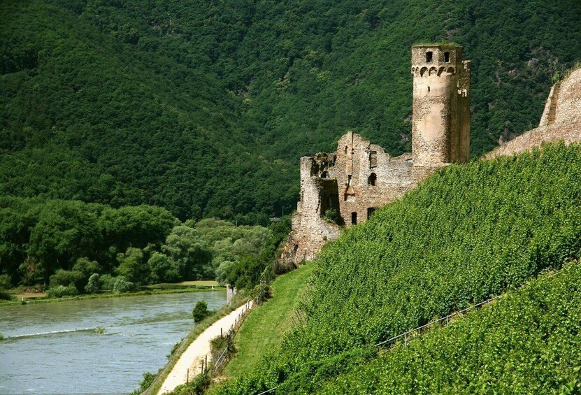 From Rüdesheim: 1.5-Hour Boat Cruise with Wine Tasting