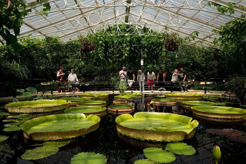 Picture 2 for Activity London: Kew Gardens Admission Ticket