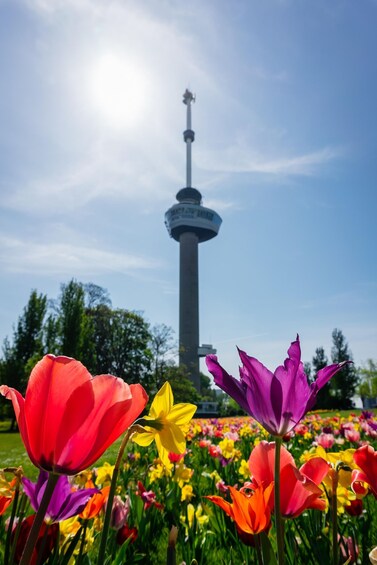 Picture 6 for Activity Rotterdam: Euromast Lookout Tower Ticket