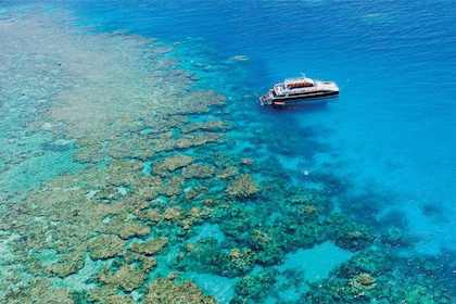 From Cairns: Great Barrier Reef Snorkelling Trip with Lunch