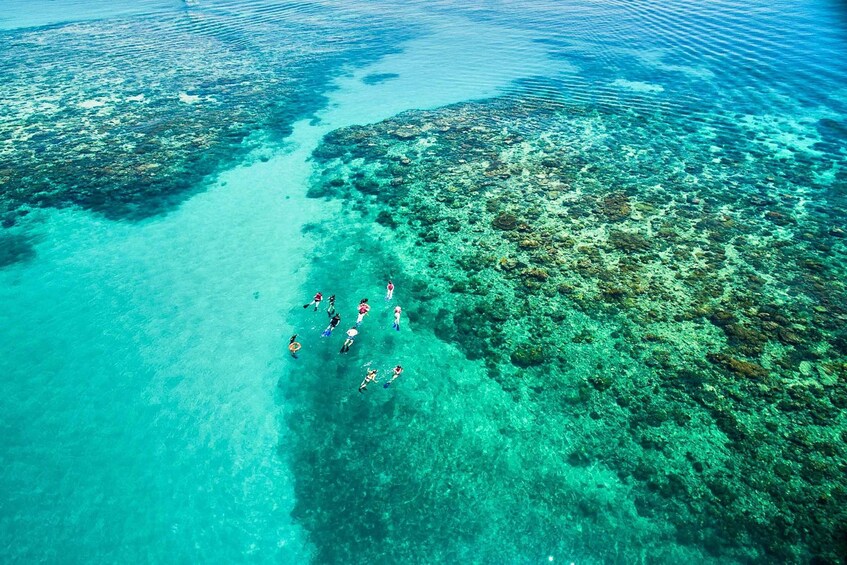 Picture 2 for Activity Cairns: Outer and Coral Cay Snorkel and Dive Cruise