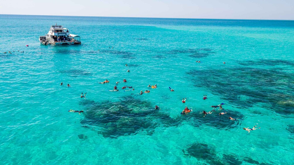 Picture 9 for Activity Cairns: Outer and Coral Cay Snorkel and Dive Cruise