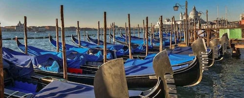Venedig: Delad gondoltur