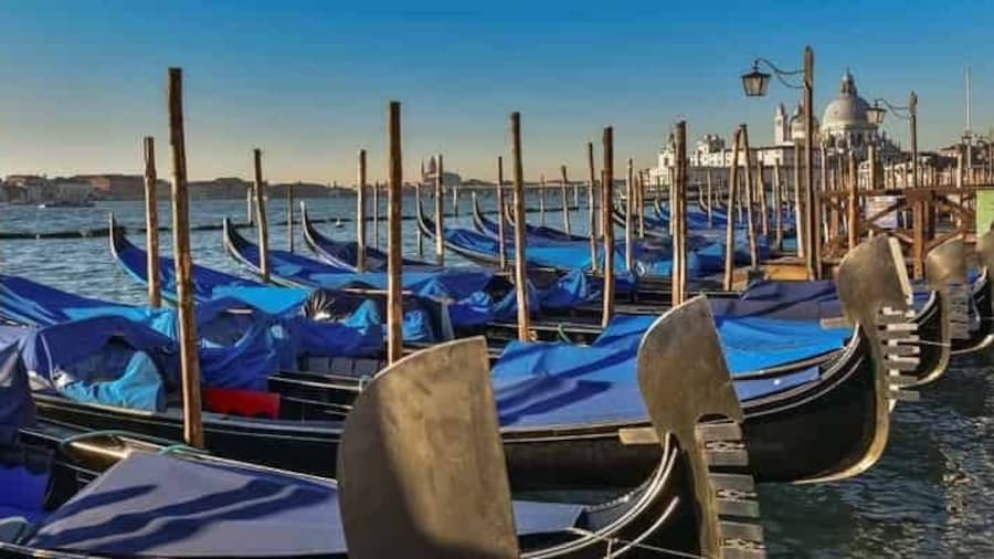 Venice: Shared Gondola Tour