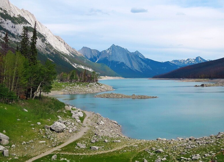 Picture 5 for Activity Jasper: Wildlife and Waterfalls Tour with Lakeshore Hike