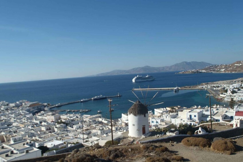 Picture 1 for Activity Mykonos: Farm, Ano Mera Village, and Beaches Guided Tour