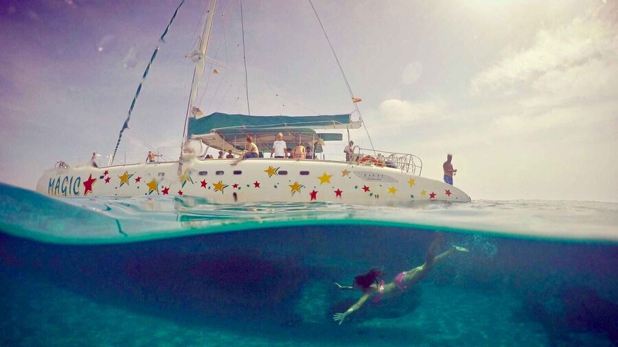 From Roses: Catamaran Cruise to Cap de Creus