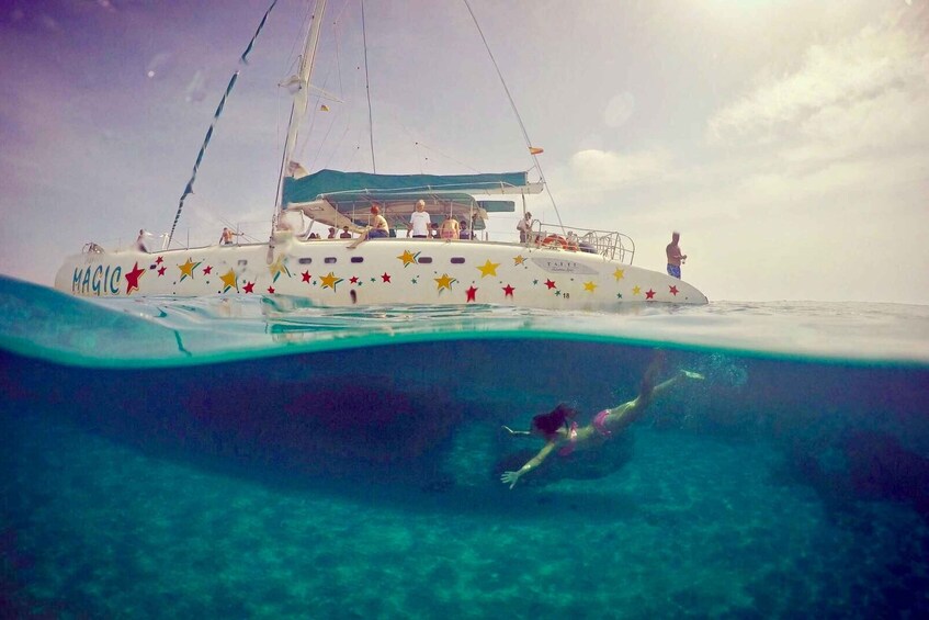 From Roses: Catamaran Cruise to Cap de Creus