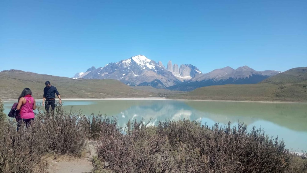Picture 18 for Activity Puerto Natales: Full-Day Torres del Paine Tour