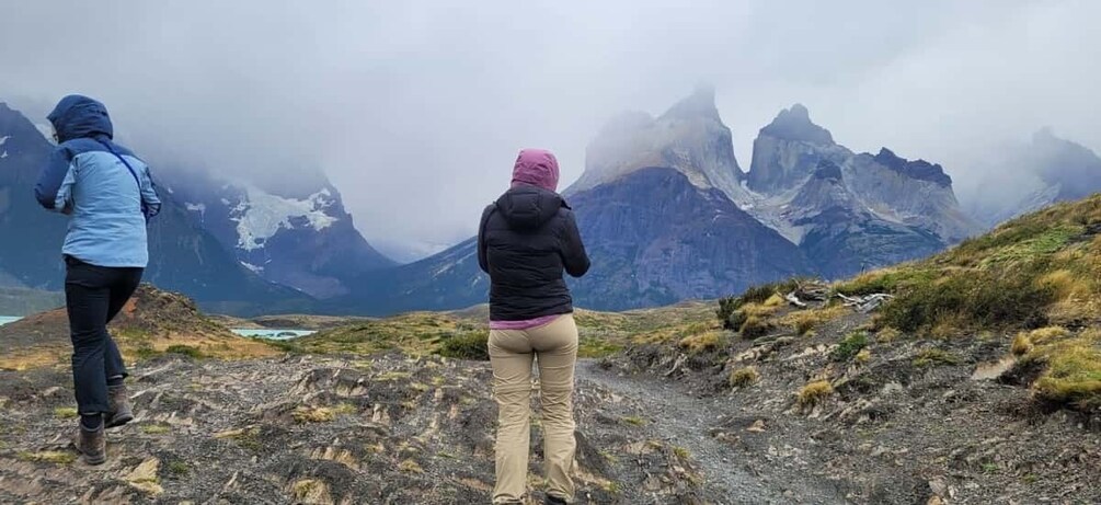 Picture 5 for Activity Puerto Natales: Full-Day Torres del Paine Tour