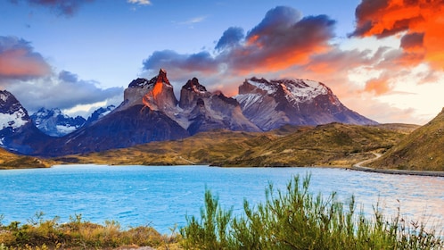 Puerto Natales: Heldagstur till Torres del Paine