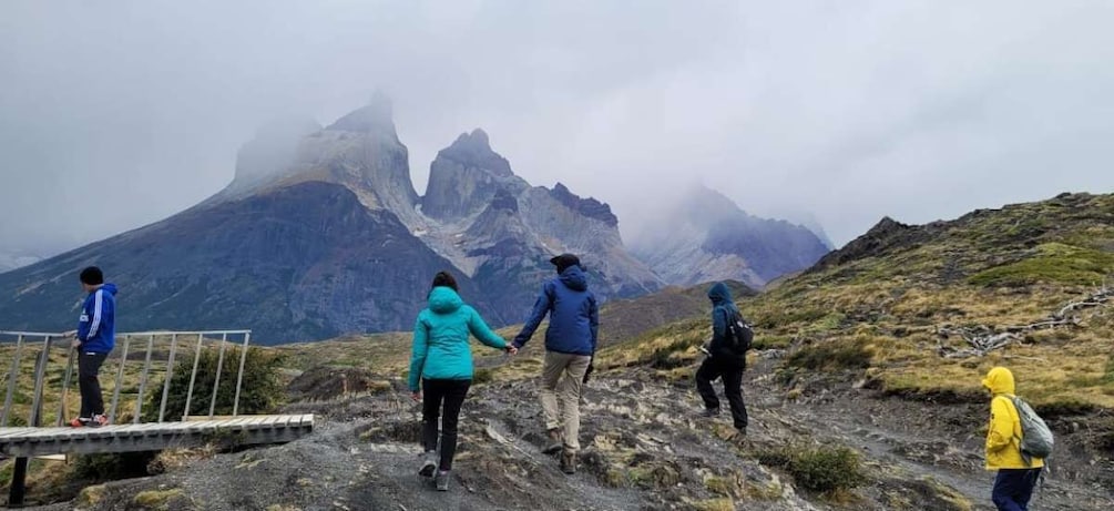 Picture 19 for Activity Puerto Natales: Full-Day Torres del Paine Tour