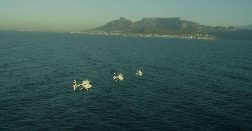 Picture 2 for Activity Robben Island By Air Scenic Helicopter Flight