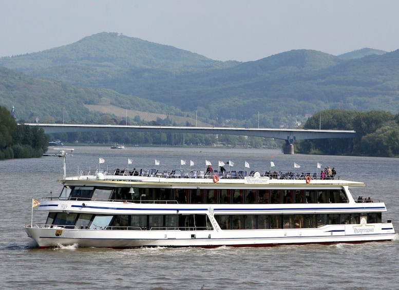 Picture 4 for Activity Bonn: 1.5-Hour River Cruise on the Rhine