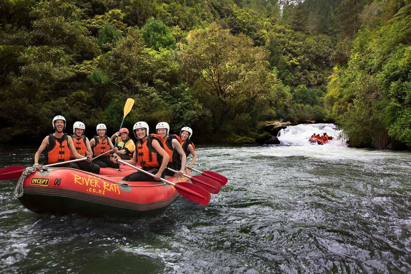 Picture 9 for Activity Rangitaiki Rafting Grade 3-4