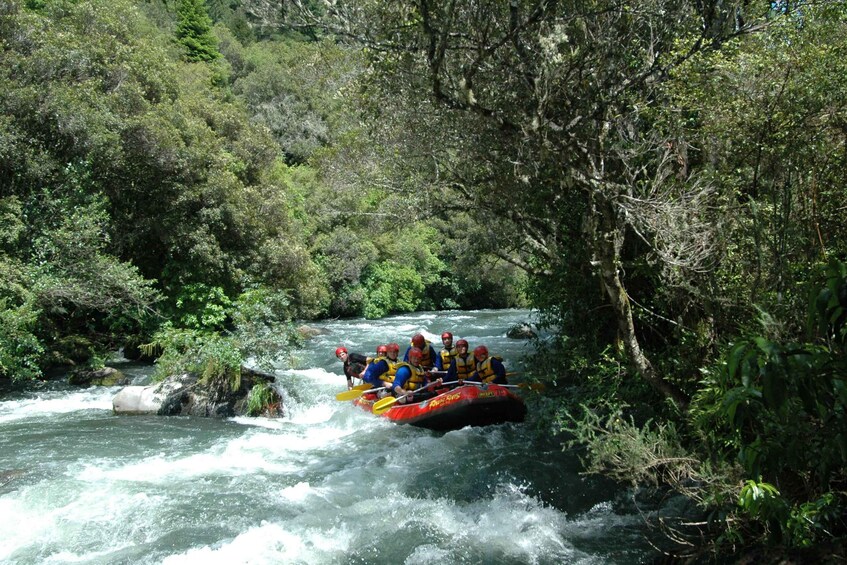 Picture 2 for Activity Rangitaiki Rafting Grade 3-4