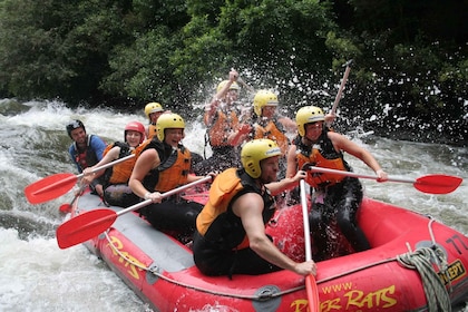 Rangitaiki rafting grad 3-4