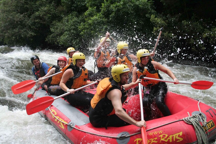 Rangitaiki Rafting Grade 3-4