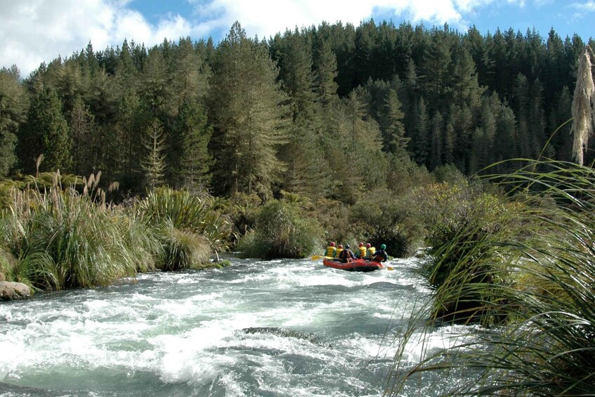 Picture 5 for Activity Rangitaiki Rafting Grade 3-4