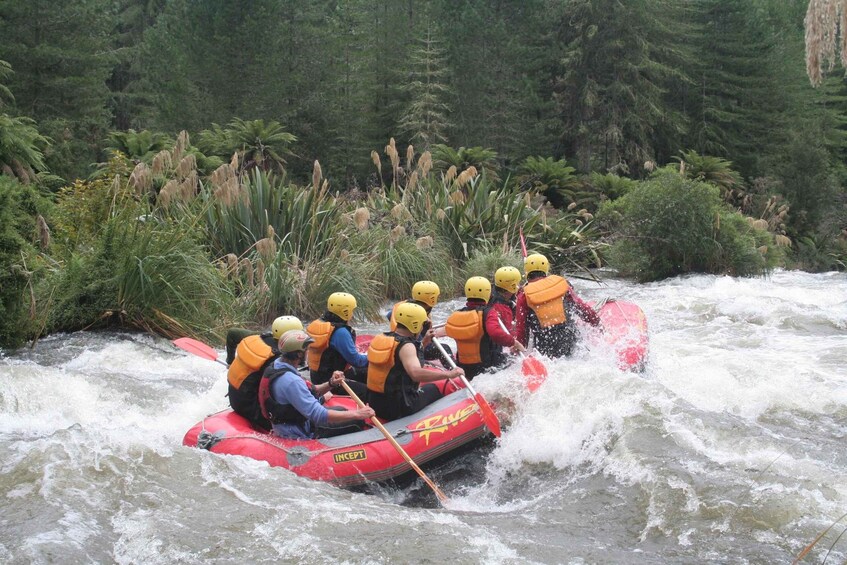 Picture 3 for Activity Rangitaiki Rafting Grade 3-4