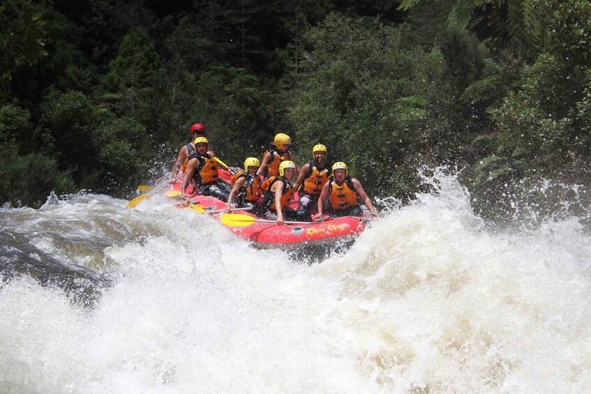 Picture 8 for Activity Rangitaiki Rafting Grade 3-4