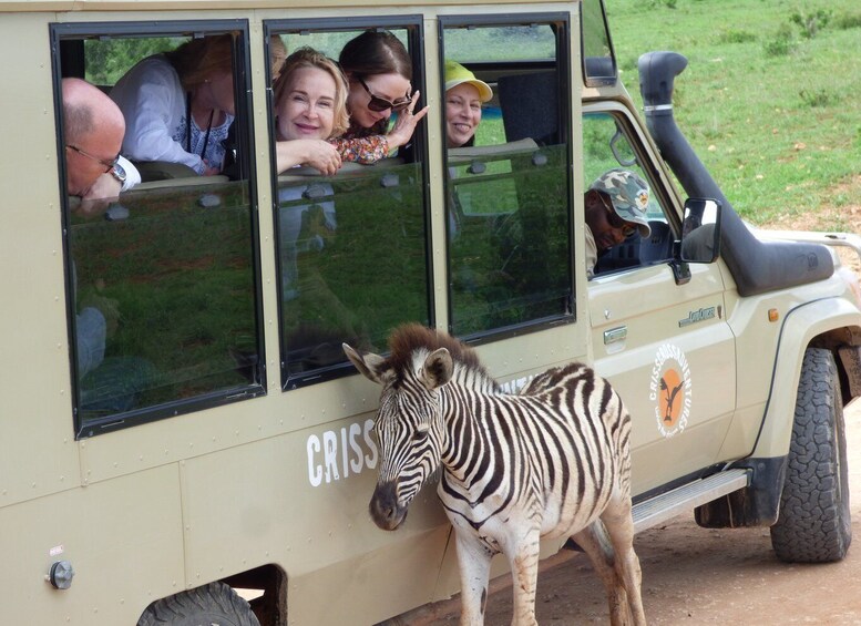 Picture 2 for Activity Addo National Park: Guided Half-Day Safari