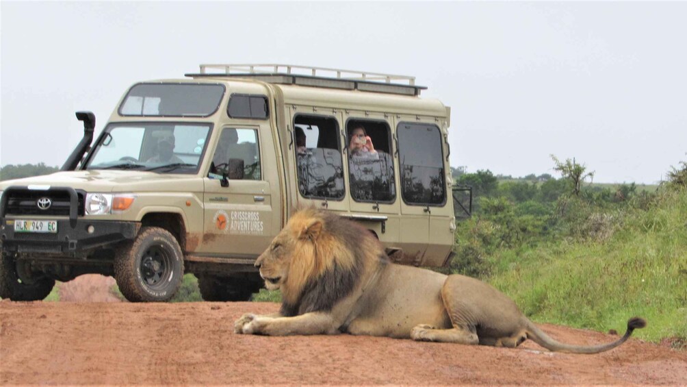 Picture 5 for Activity Addo National Park: Guided Half-Day Safari