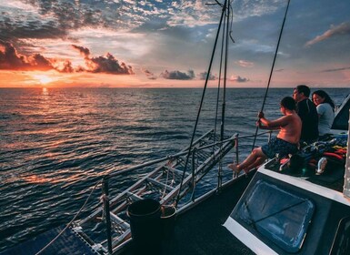 Cairns: 2-dagars båttur med dykning och snorkling vid Stora Barriärrevet