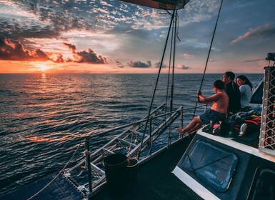 Cairns: 2-dagers båttur til Great Barrier Reef med dykking og snorkling