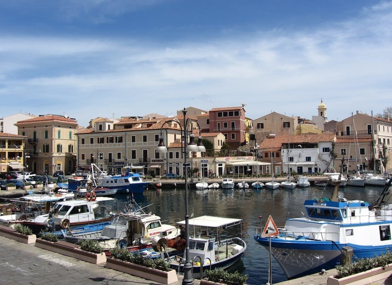 Picture 9 for Activity From Palau: La Maddalena Archipelago Full-Day Boat Tour
