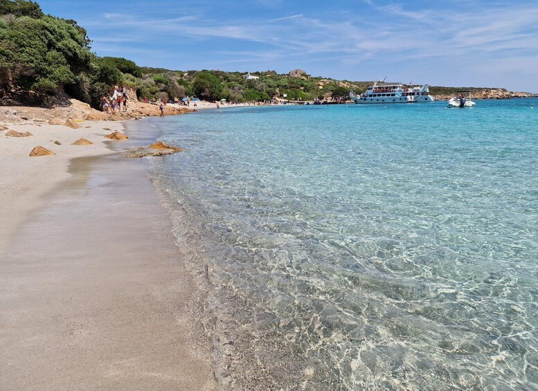 Picture 33 for Activity From Palau: La Maddalena Archipelago Full-Day Boat Tour