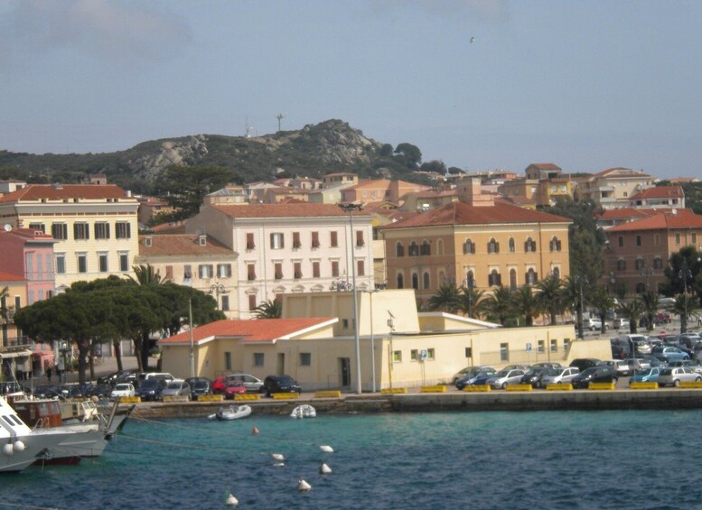 Picture 62 for Activity From Palau: La Maddalena Archipelago Full-Day Boat Tour