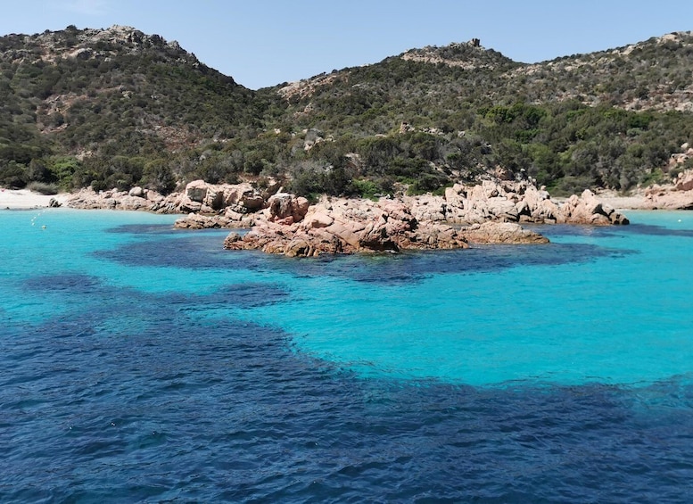 Picture 48 for Activity From Palau: La Maddalena Archipelago Full-Day Boat Tour