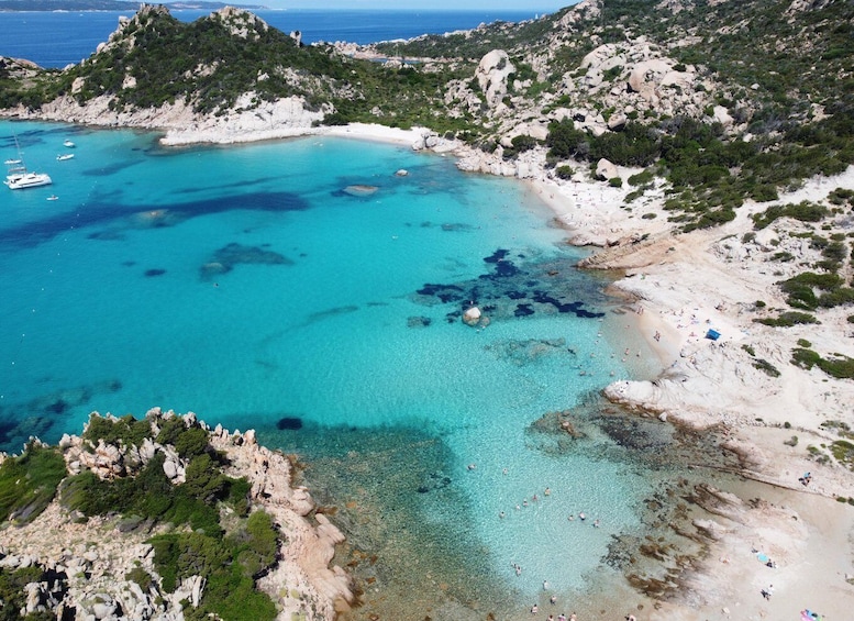 Picture 12 for Activity From Palau: La Maddalena Archipelago Full-Day Boat Tour