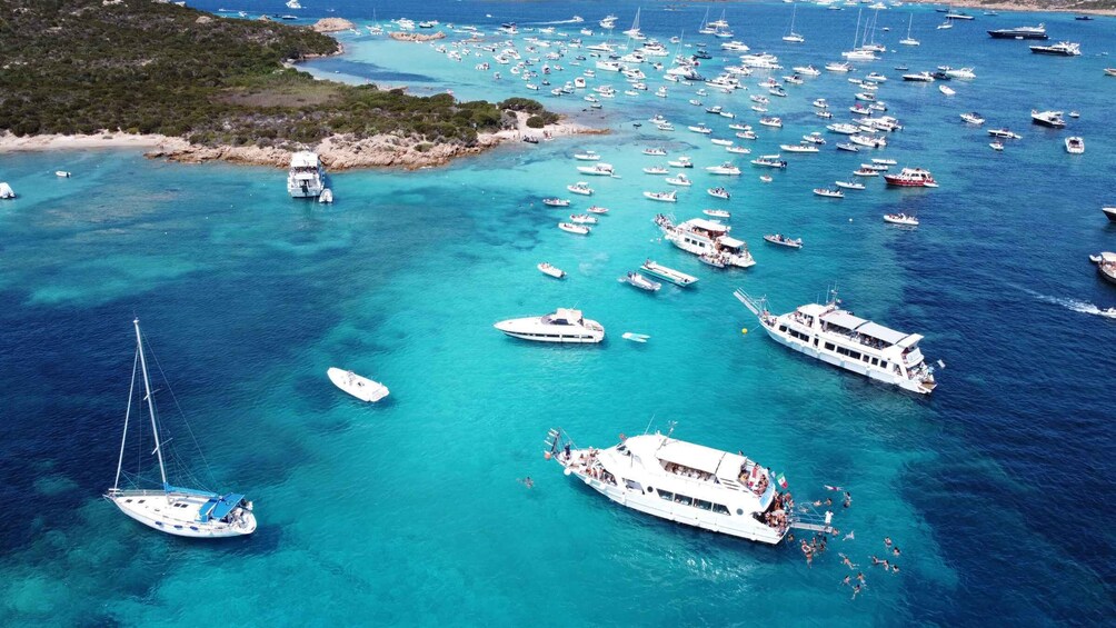 Picture 25 for Activity From Palau: La Maddalena Archipelago Full-Day Boat Tour