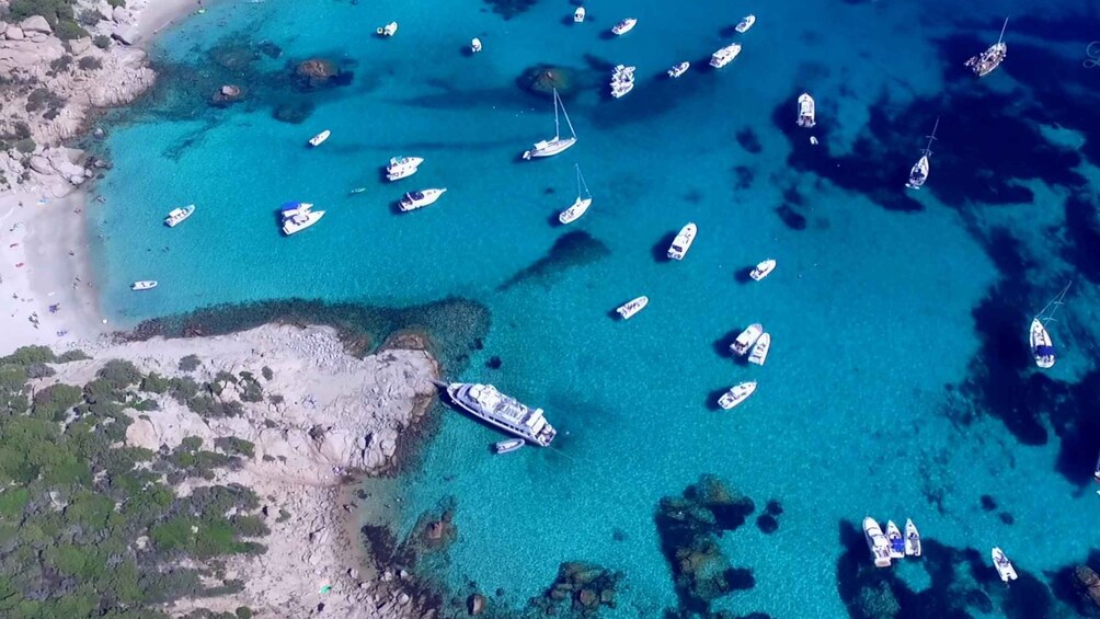Picture 80 for Activity From Palau: La Maddalena Archipelago Full-Day Boat Tour