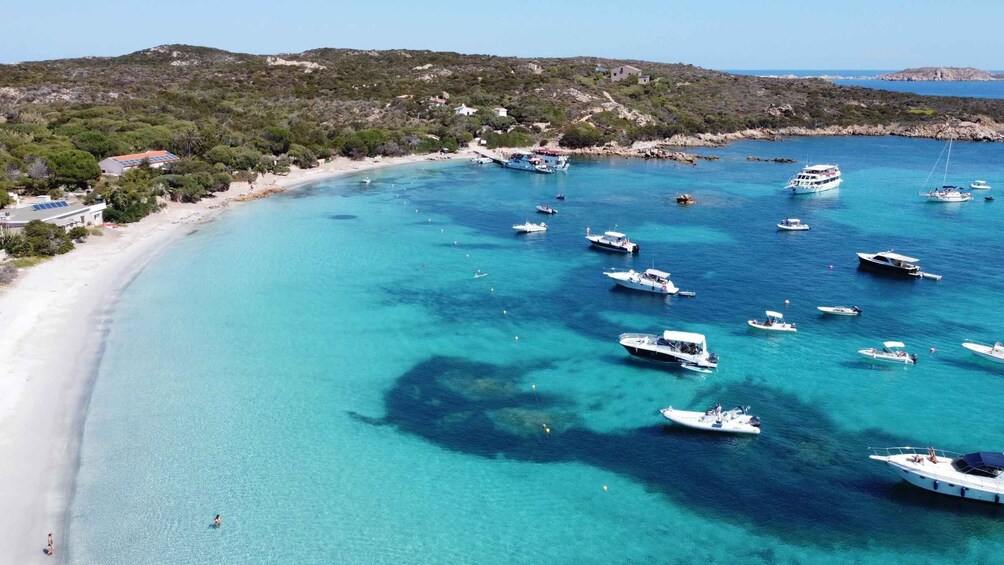 Picture 43 for Activity From Palau: La Maddalena Archipelago Full-Day Boat Tour