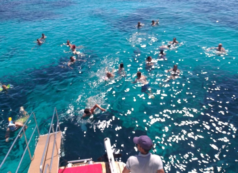 Picture 65 for Activity From Palau: La Maddalena Archipelago Full-Day Boat Tour