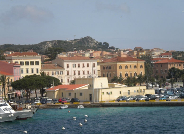Picture 62 for Activity From Palau: La Maddalena Archipelago Full-Day Boat Tour