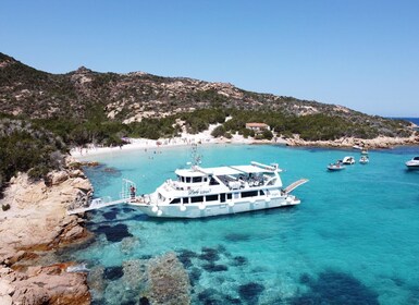 Fra Palau: Heldags båttur i La Maddalena-skjærgården