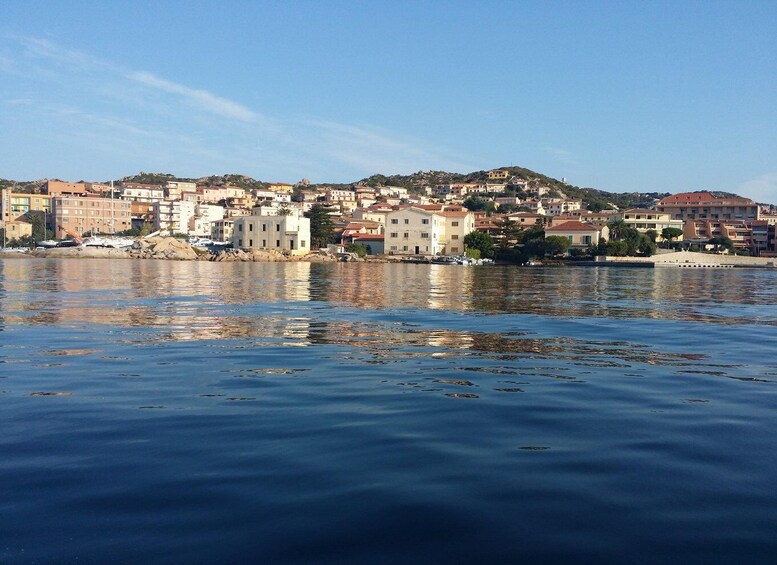 Picture 42 for Activity From Palau: La Maddalena Archipelago Full-Day Boat Tour