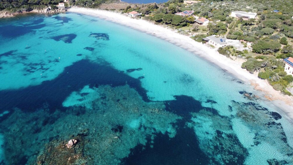 Picture 36 for Activity From Palau: La Maddalena Archipelago Full-Day Boat Tour