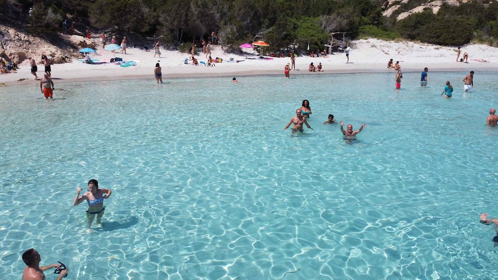 Picture 45 for Activity From Palau: La Maddalena Archipelago Full-Day Boat Tour