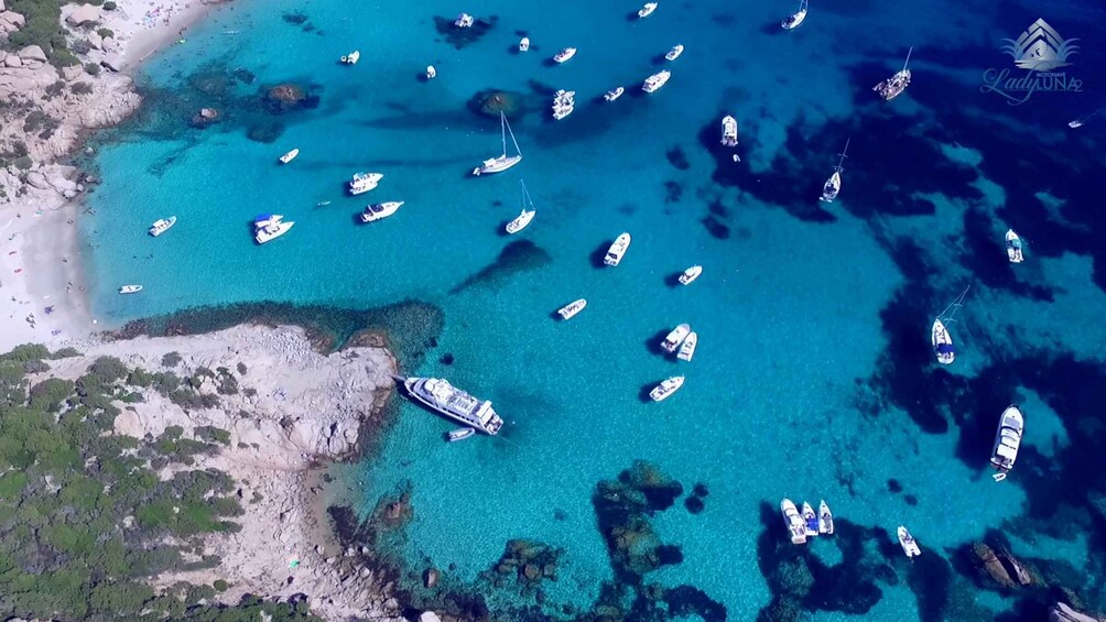 Picture 77 for Activity From Palau: La Maddalena Archipelago Full-Day Boat Tour